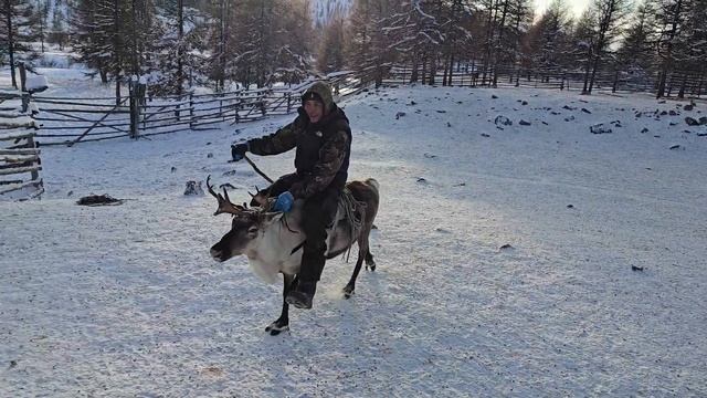 верхом на учахе