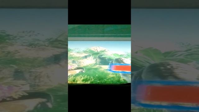 1000004935.mp4