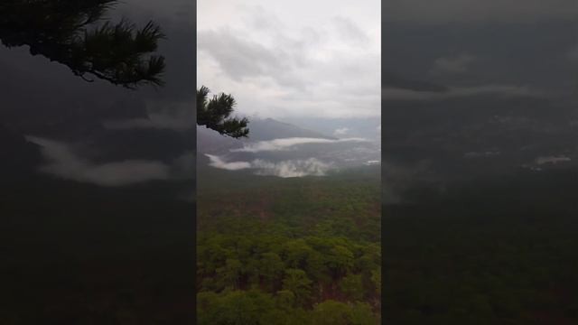 VID серебренная беседка