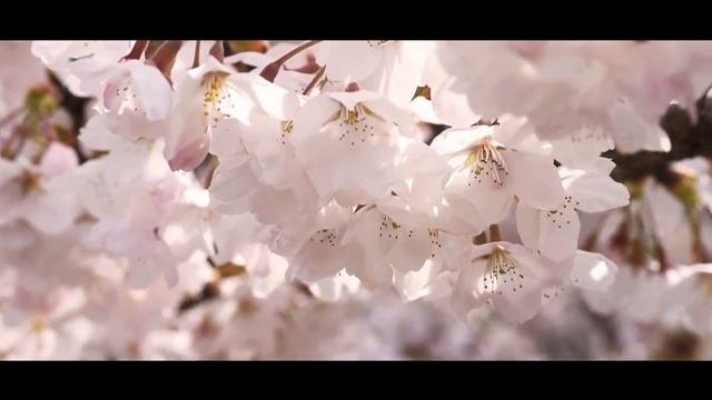BES  Beauty  Science  HERGEN