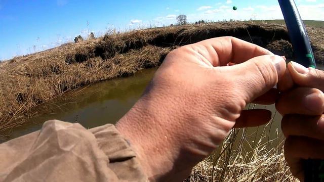 Открытие сезона открытой воды 2023 года!