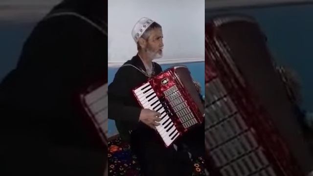 Таджик с АкардиономТенчи бад 2020
