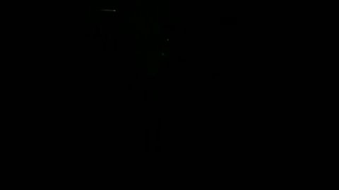 Салют Шары фестивальные 8 " дюймов