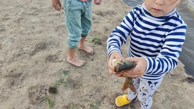 На Лодке из Москвы в Астрахань.Оторвались! Здесь РЫБА клюет ПОД НОГАМИ Волгоград - Астрахань Часть