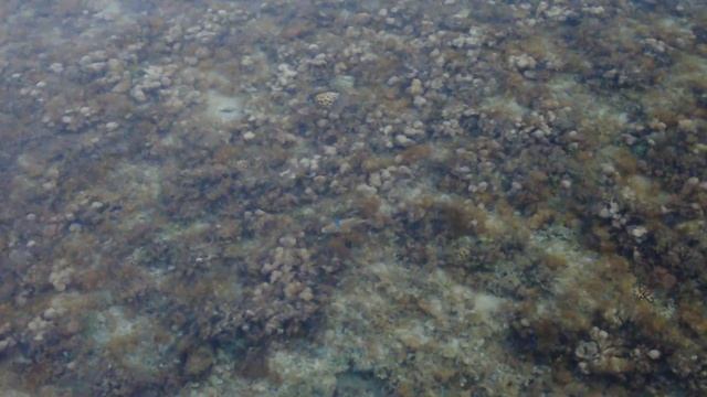ОТЕЛЬ MAGIC WORLD SHARM  ШАРМ-ЭЛЬ-ШЕЙХ. ЕГИПЕТ