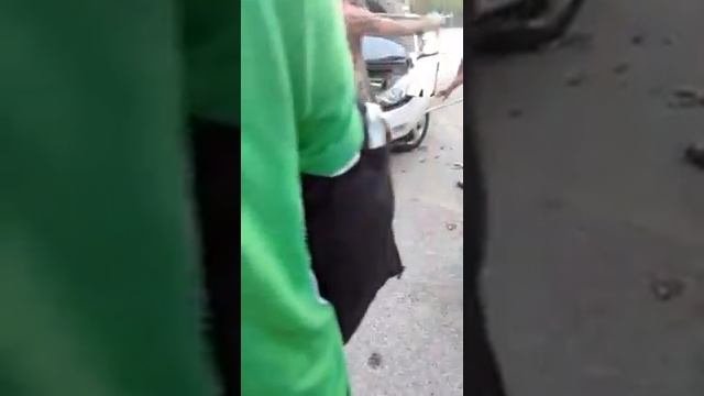 Огромная змея залезла в бампер машины