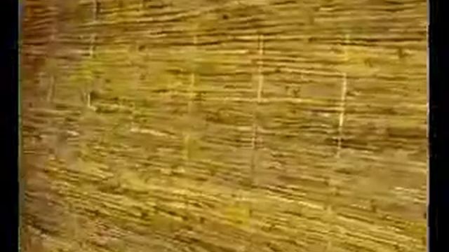 Репортаж о строительстве из соломенных блоков 1