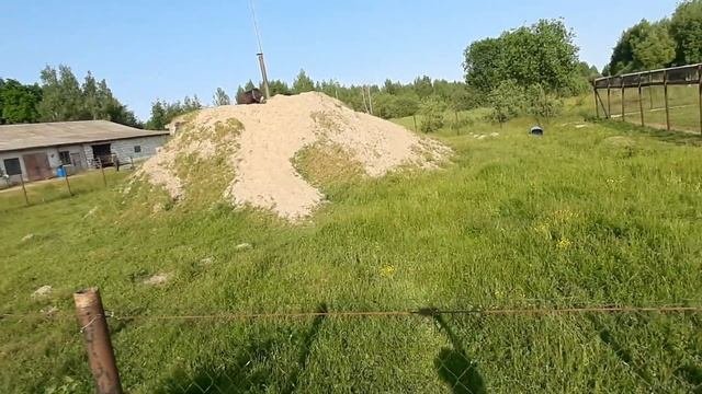 Брест.Страусиная ферма.Поход в магазин за хлебушком.Мошки.Комары.Влог