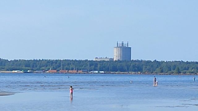 ЛАЭС, Бус Вертекаль и мосты через реку Коваш. Сосновый Бор. Ленинградская область. Дата 30-е августа