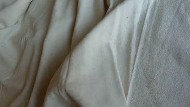 Дикий шовк ДШ08570 (шовк 100%)
