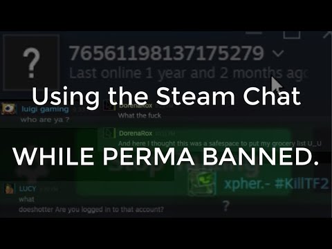 Opening And Using The Steam Chat On A Permanent Disabled Account.