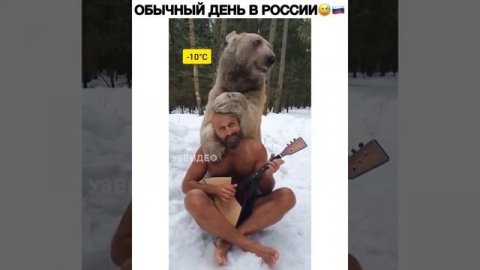 Медведь в -10 себя чувствует прекрасно под звучание балалайки ??