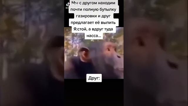 Мем Юмор Прикол