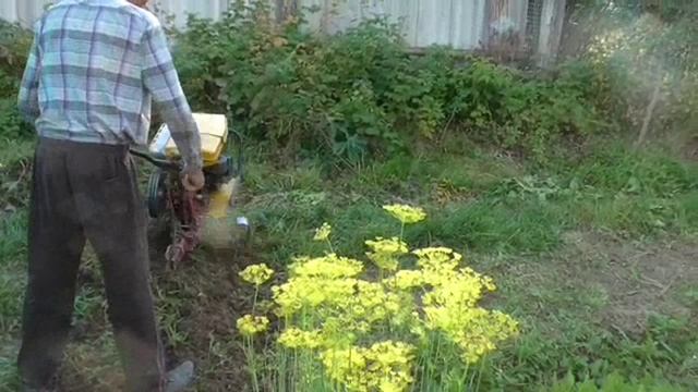 мотоблок из СССР