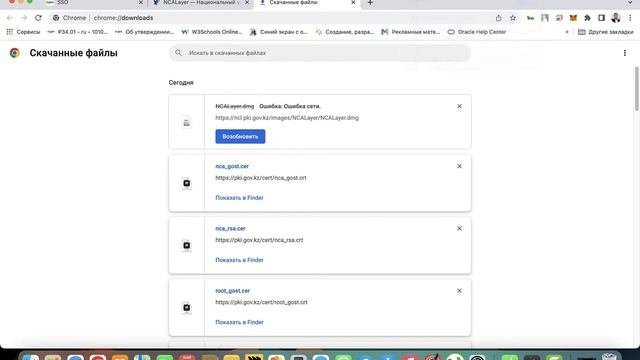 MacBook пен eGov порталына қалай кіреді? Макбукпен егов қа кіру. NCALayer MacBook