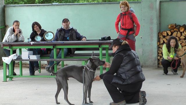 3. THAI ridgeback DAY -  Owner´s Show - Best ones