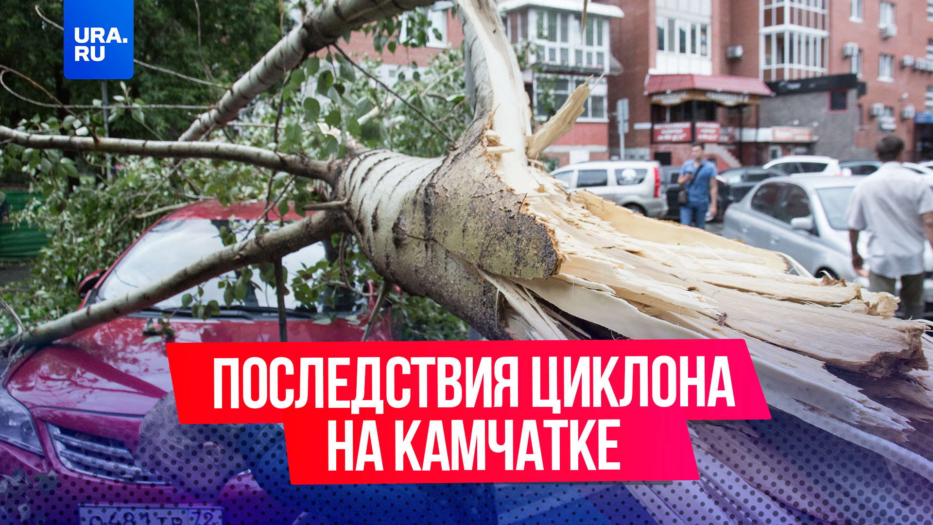 Упавшие деревья, снесенные крыши и заборы: как выглядит Камчатка после обрушившегося циклона?