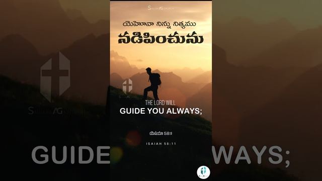 Today's Promise | ఈ రోజు దేవుని మాట | 13-01-2024 | Telugu Christian status - Daily Promise  #short