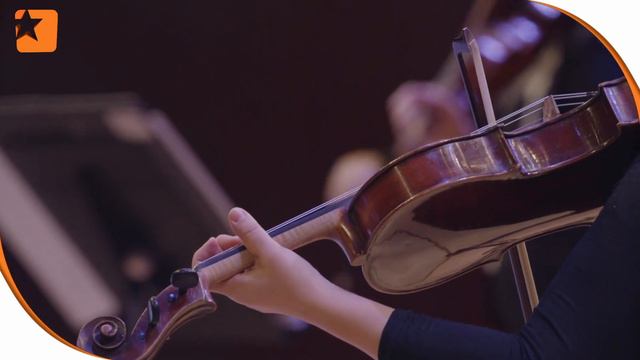 Tomaso Albinoni Concerto Hautbois En Ré Mineur
