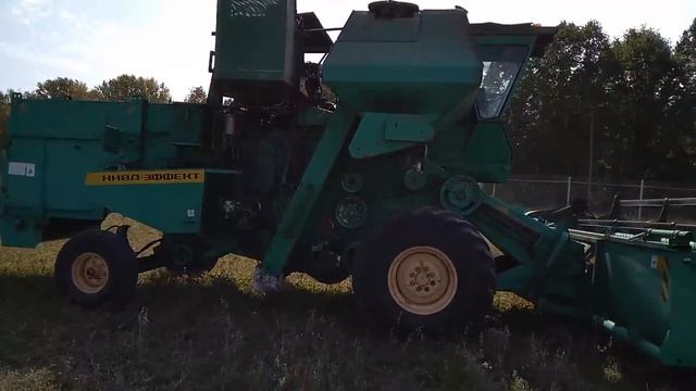 Уборка вико-овса на зерно в КФХ "Герефорд"