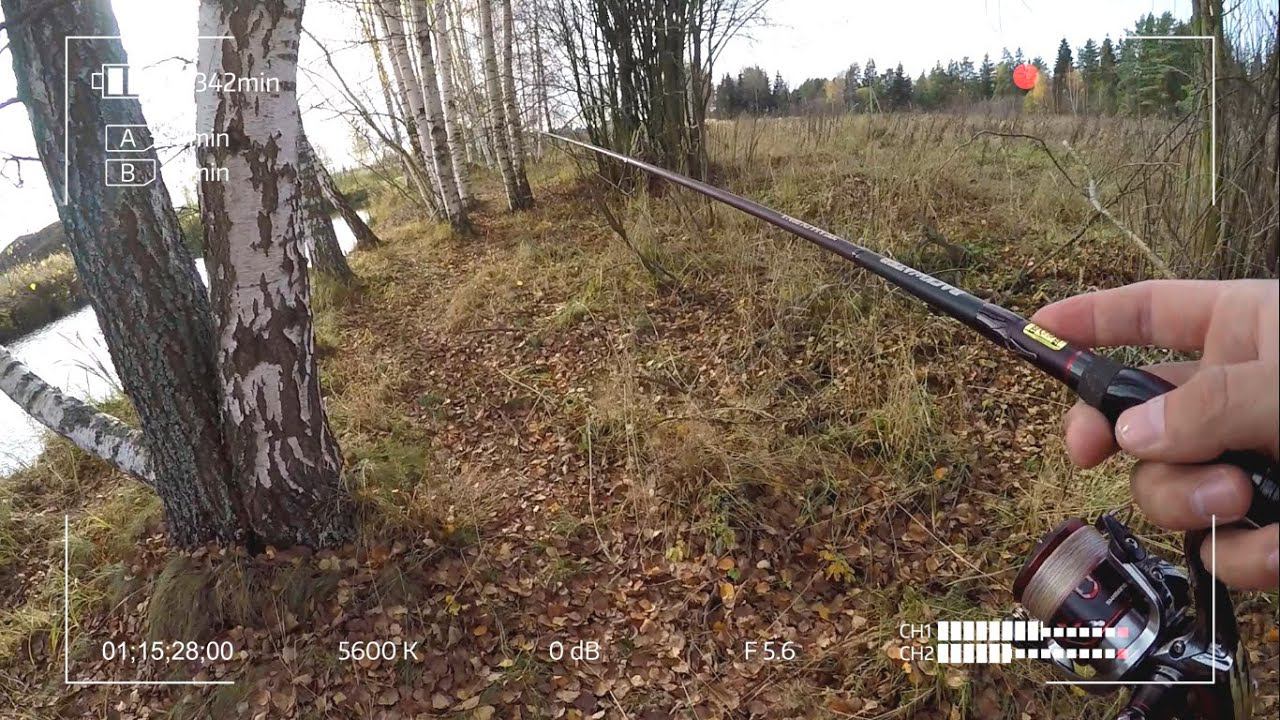 Микроджиг Team Dubna Backwater в компании на трёх акваториях. Видеоотчёт 25.10.2020