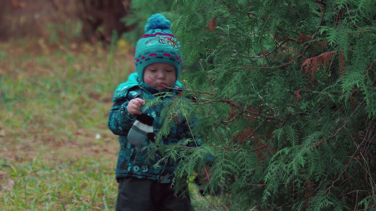видеосъемка на Olympus E-PL9, 4K & Sigma 120-400