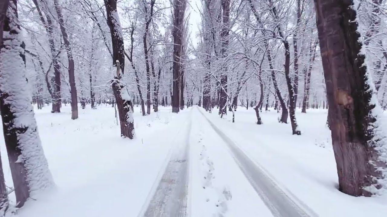 "Зима в Таразе" #тараз