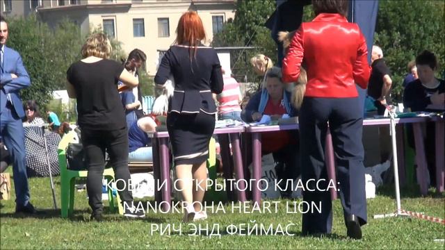 30.07.17г. моно чихуа "Кубок Асконы". ДШ
