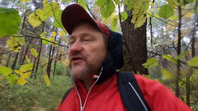 А теперь слово имеет Илон Маск