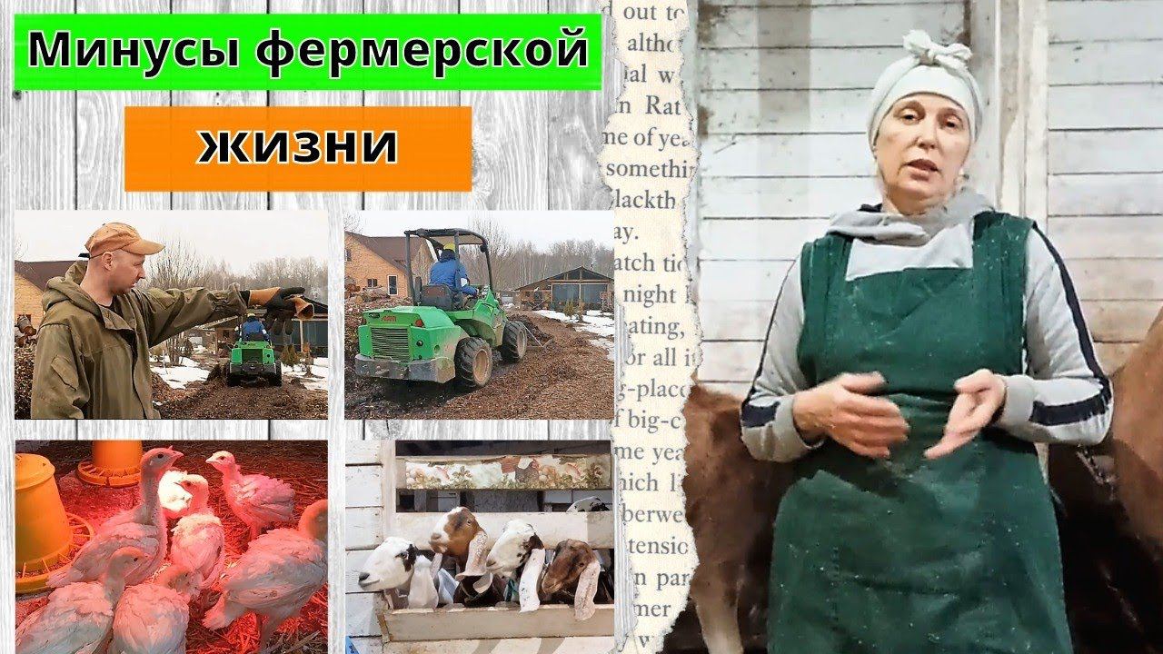 МИНУСЫ И ПЛЮСЫ ФЕРМЕРСКОЙ ЖИЗНИ