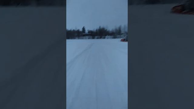 Буран по пухляку.