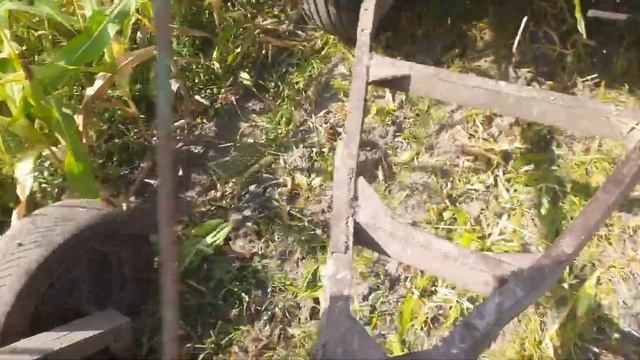???? день - рік годує!!Силос з ??????