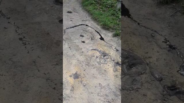 Укладка асфальта в Новгороде-Северском