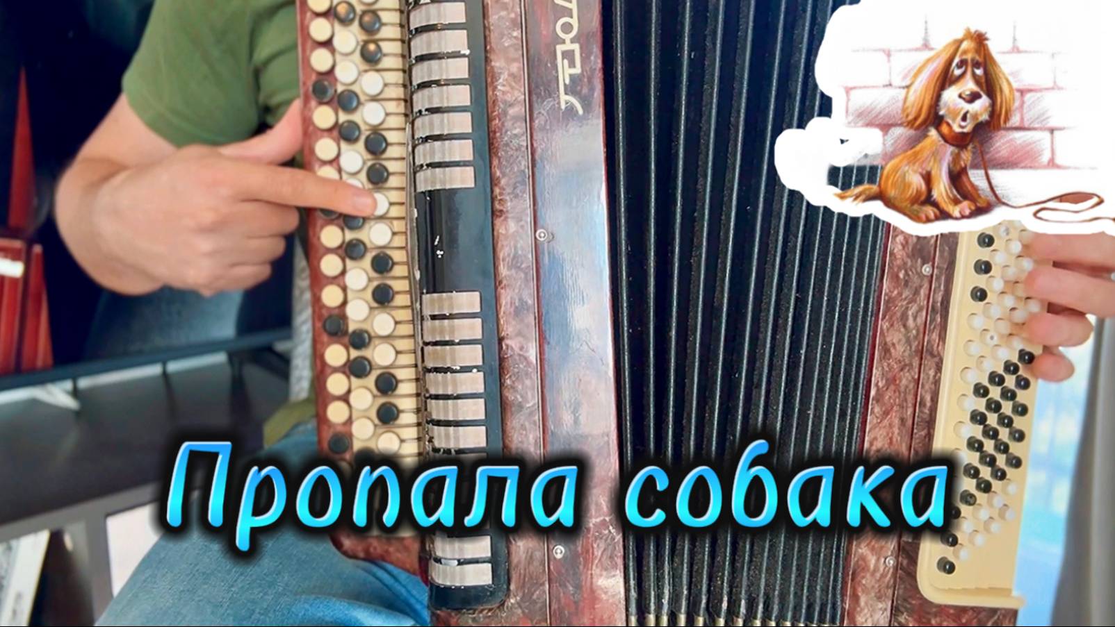 Пропала собака (Владимир Шаинский) Учимся играть на баяне