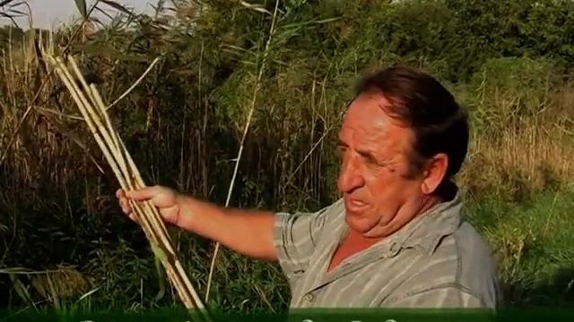 "Камышовая"  крыша из тростника