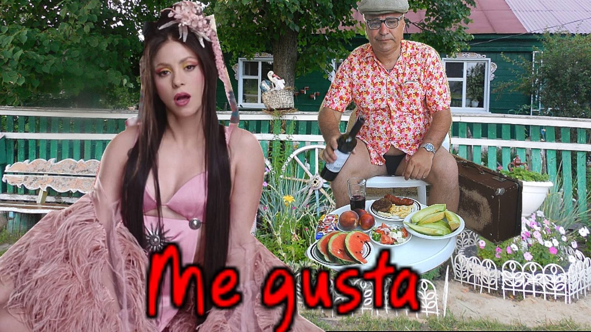 Шакира и Степан -Me Gusta...Video remix