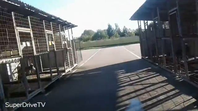ВЛОГ | ЕДУ В ПРИЮТ ДЛЯ БЕЗДОМНЫХ ЖИВОТНЫХ