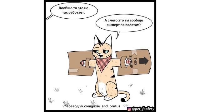 Пикси и Брут. 8 серия  Мемозг 309