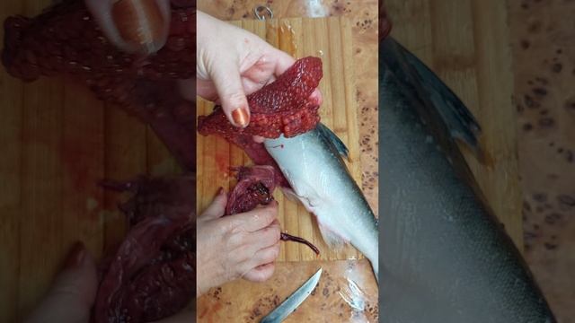Как выбрать рыбу горбуша с икрой