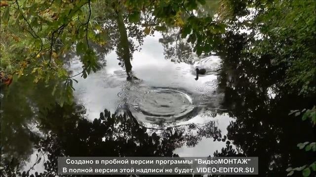 капли дождя в крнце гроза  Файл для релаксации, медитации