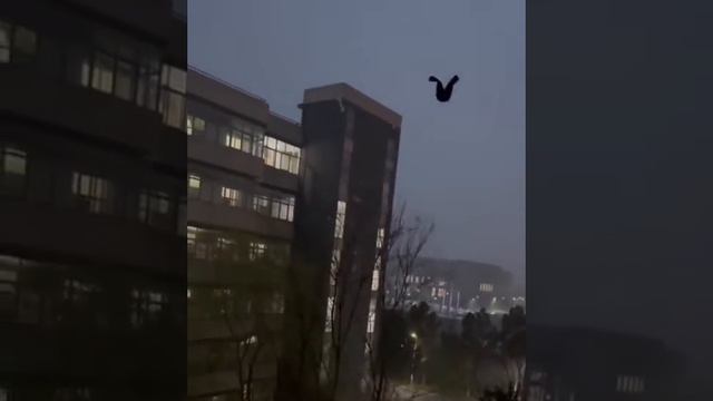 что это за птица?🤣новый вид.
