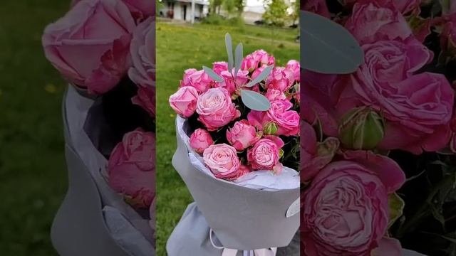 1683199250878.mp4