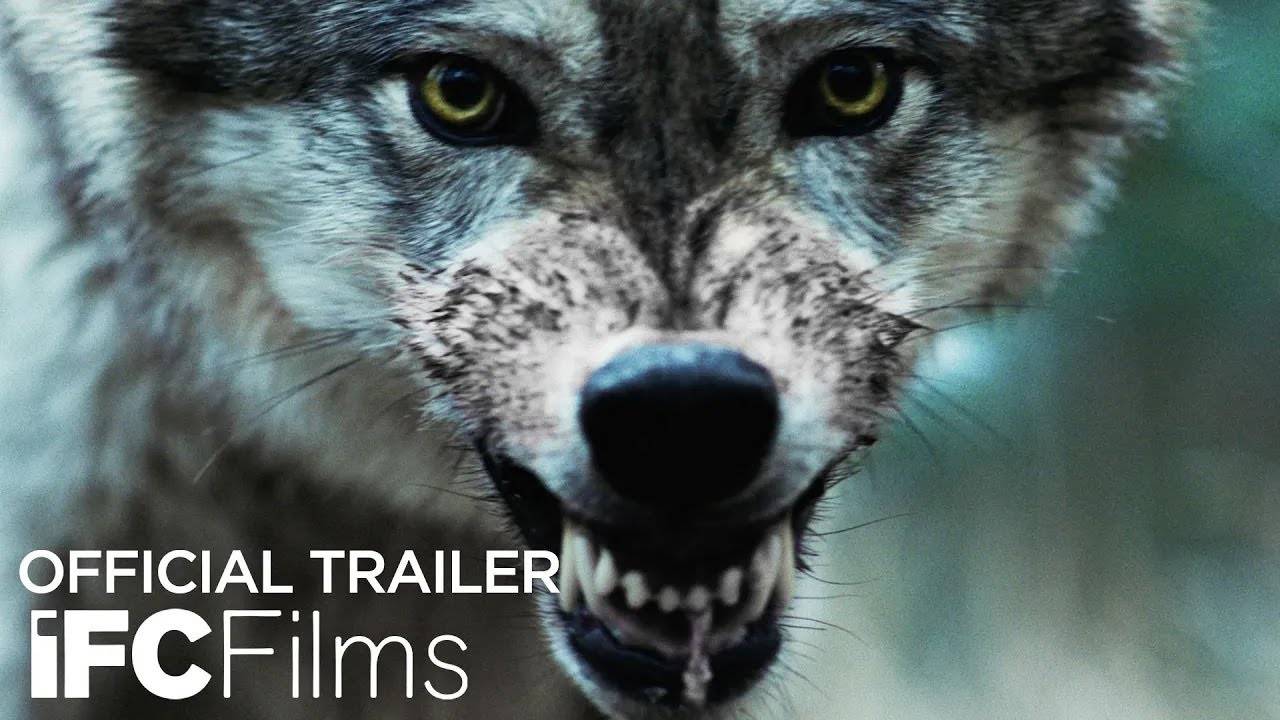Out Come the Wolves Movie - Official Trailer | IFC Films