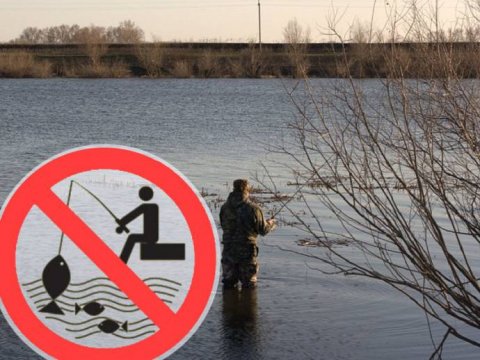 Как законно сократить запрет на рыбалку до 15 дней по Свердловской области