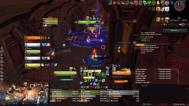 WoW Shadowlands - +16 Sanguine Depths Timed (+1) - Beast Master Hunter PoV