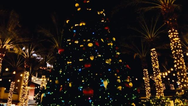 Christmas Scenes (Dehancer Vision)