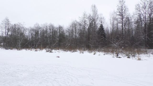 Большой тест гусениц на новом моторе