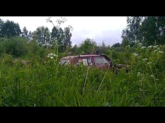 Нива на охоте. Естесственная среда обитания