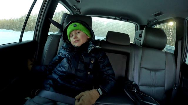 Лебеди зимуют в Сибири. Озеро Светлое, Алтайский край, рядом  Белокуриха 22.02.2024г.