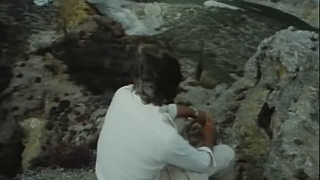 54 1983 Среди тысяч рек - Подводная одиссея команды Кусто